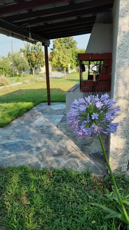 Vila Gorjelina 'S House Volos Exteriér fotografie